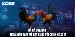 Đá Gà Cựa Dao - Thoả Mãn Đam Mê Đặt Cược Với Chiến Kê Số 1!